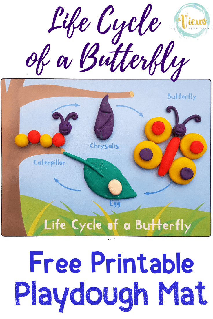 Life Cycle of a Butterfly Playdough Mat - Free Printable - Views From a  Step Stool